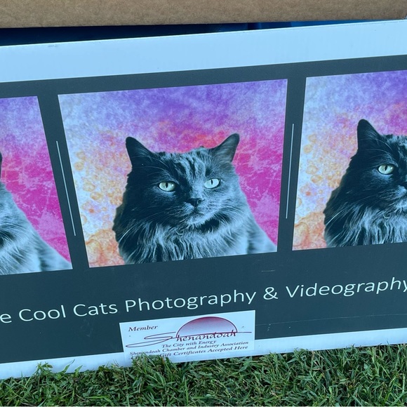 Picture by Theresa Brockmeyer. Canvas 16 x 20 picture of a bail of hay. - Picture 2 of 2